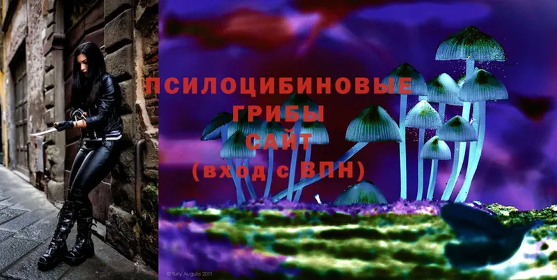 Псилоцибиновые грибы Psilocybe Котлас